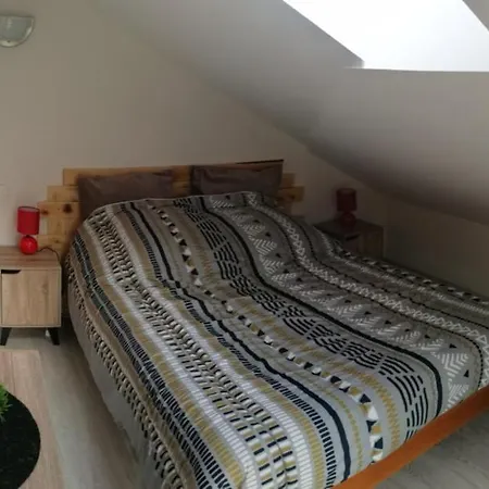 Gite De Rarounette Au Coeur Des Vosges Celles-sur-Plaine Exterior photo