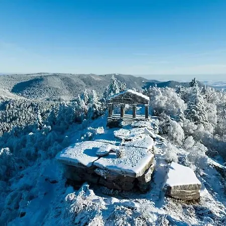 Gite De Rarounette Au Coeur Des Vosges Celles-sur-Plaine Exterior photo
