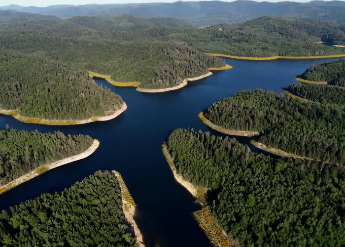 Gite De Rarounette Au Coeur Des Vosges