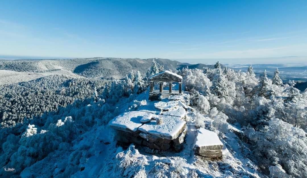 De Rarounette Au Coeur Des Vosges Holiday home *