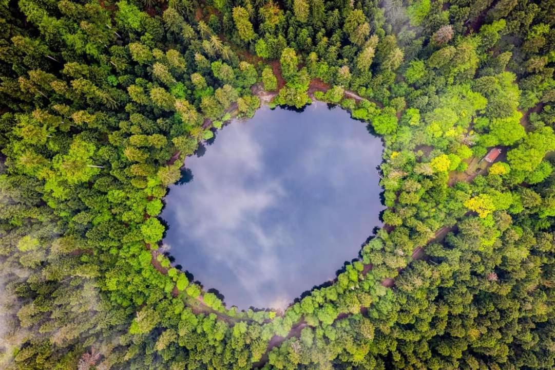 Ferienhaus De Rarounette Au Coeur Des Vosges *
