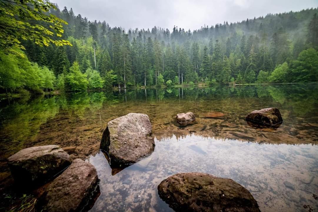 De Rarounette Au Coeur Des Vosges Celles-sur-Plaine
