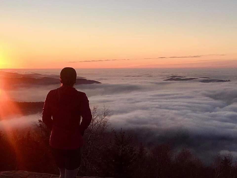 De Rarounette Au Coeur Des Vosges Holiday home *