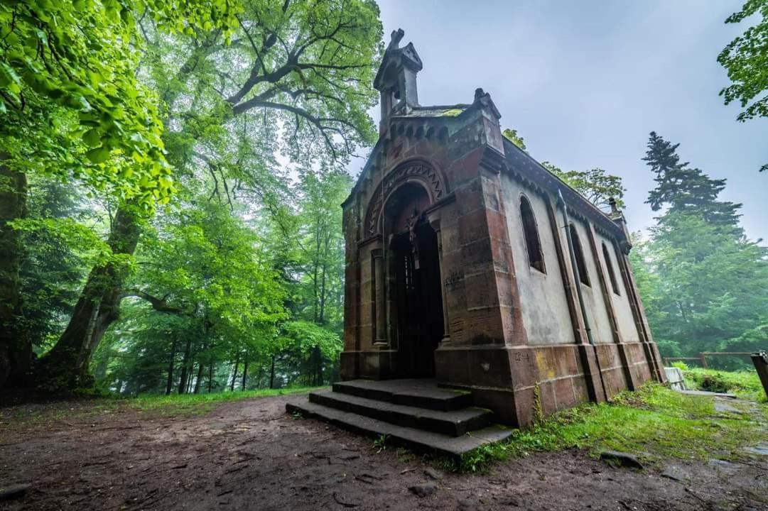 De Rarounette Au Coeur Des Vosges * Celles-sur-Plaine