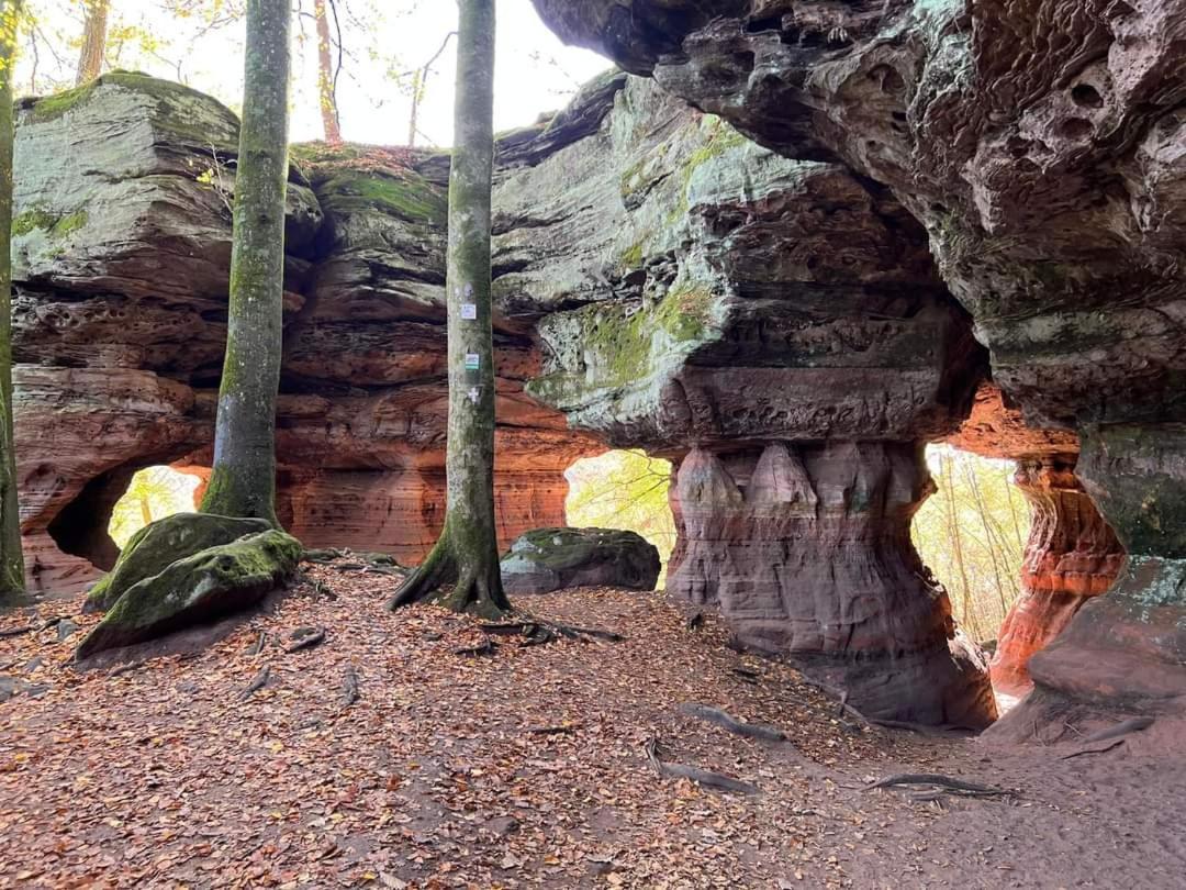 De Rarounette Au Coeur Des Vosges Celles-sur-Plaine