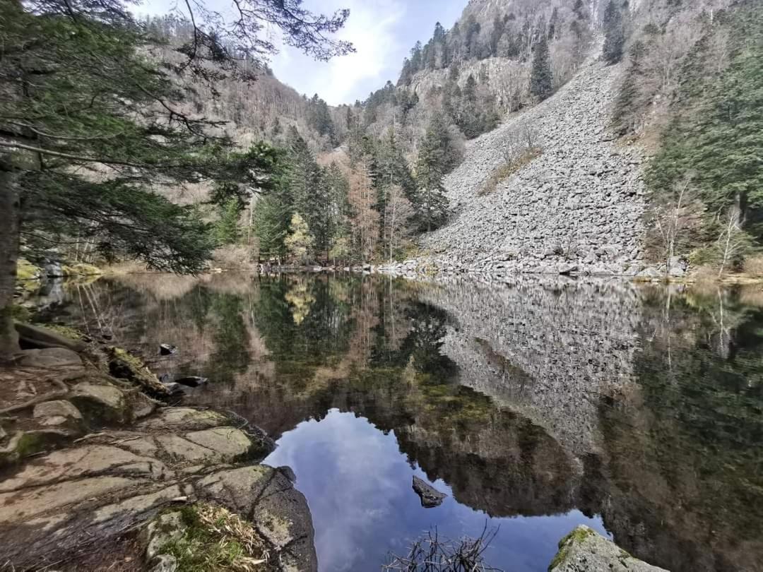 Ferienhaus De Rarounette Au Coeur Des Vosges *