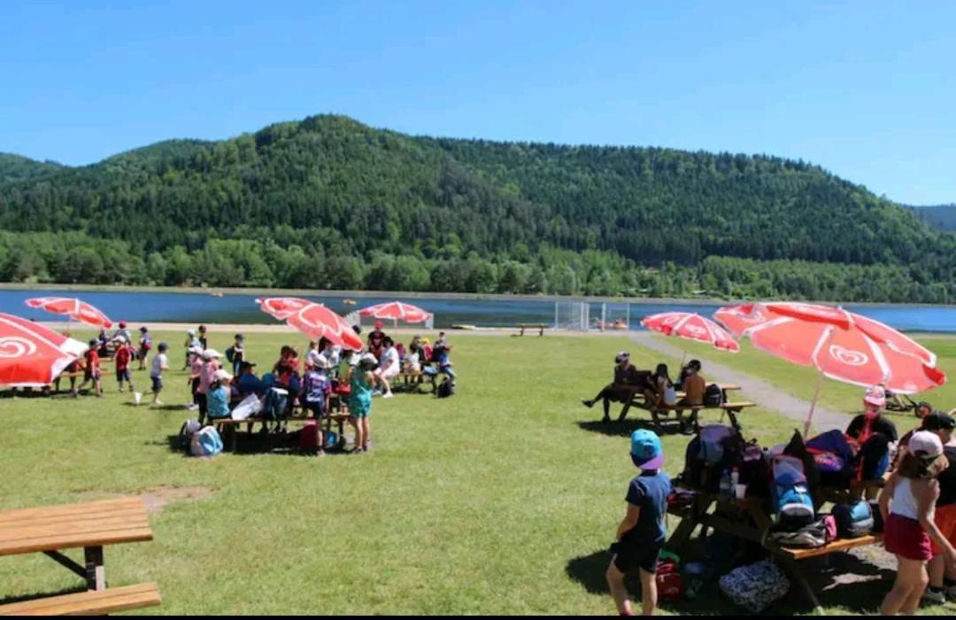 De Rarounette Au Coeur Des Vosges * Celles-sur-Plaine