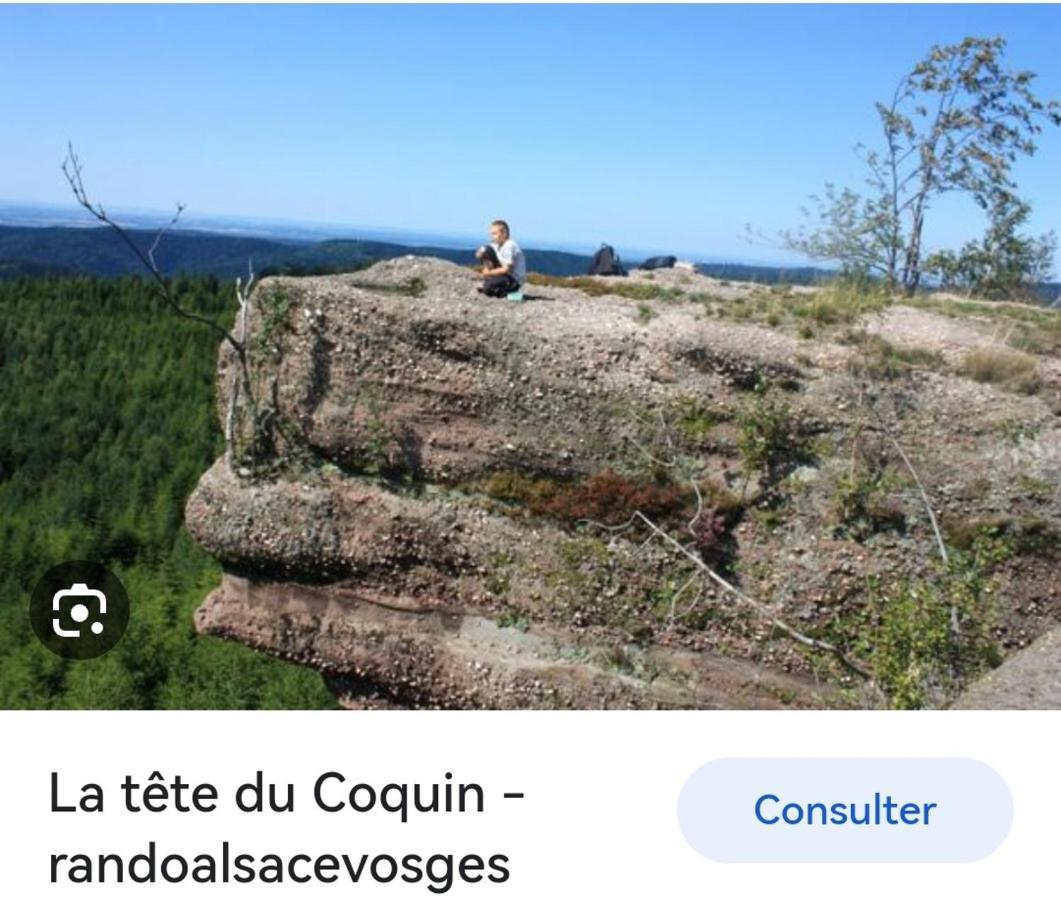 De Rarounette Au Coeur Des Vosges Ferienhaus Celles-sur-Plaine