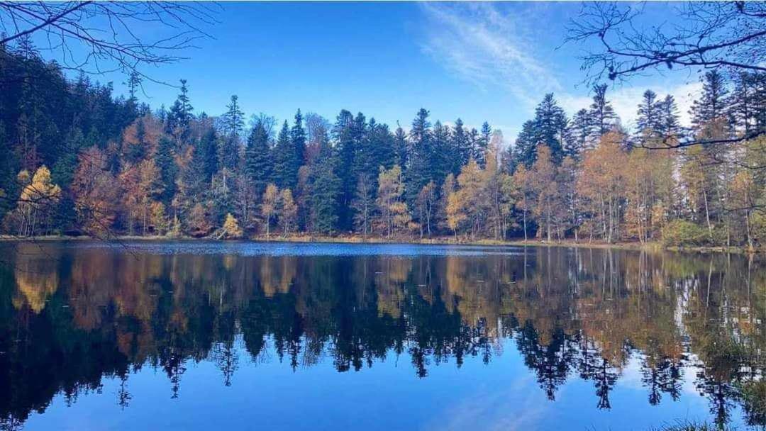De Rarounette Au Coeur Des Vosges Celles-sur-Plaine