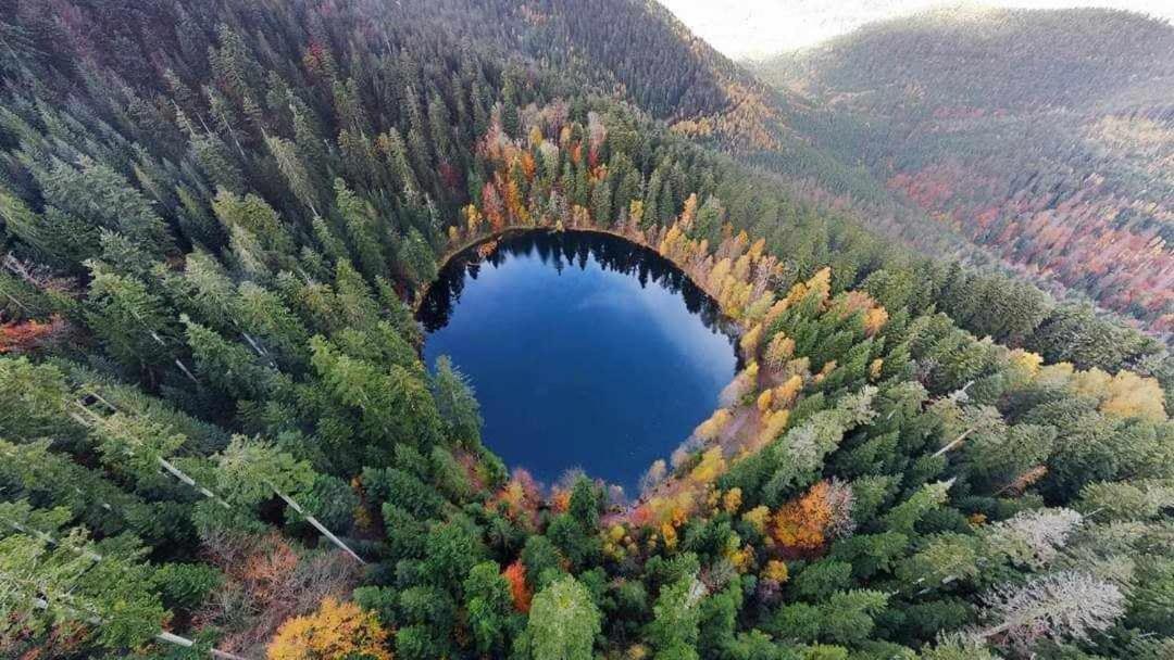 De Rarounette Au Coeur Des Vosges Ferienhaus