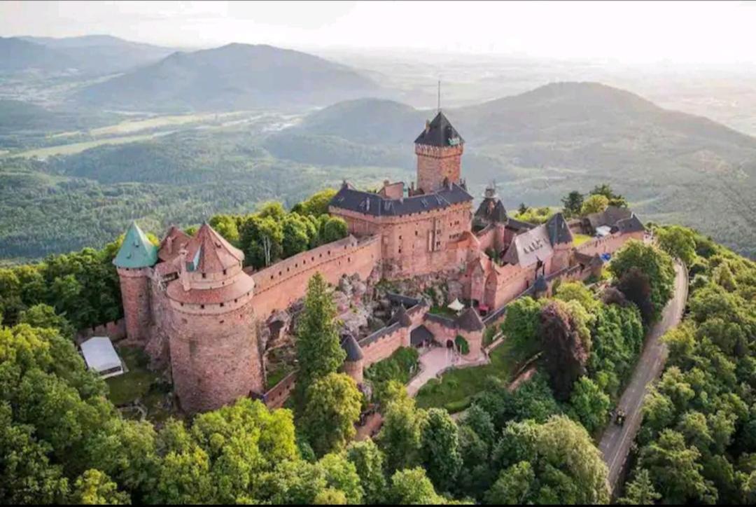 De Rarounette Au Coeur Des Vosges Celles-sur-Plaine