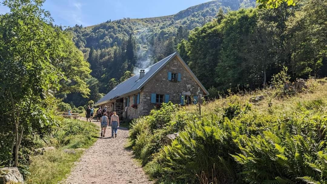 Ferienhaus De Rarounette Au Coeur Des Vosges Celles-sur-Plaine